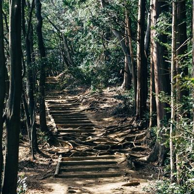 三国志孔明传中文版下载