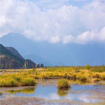 海岸线战舰养成计划测试版下载